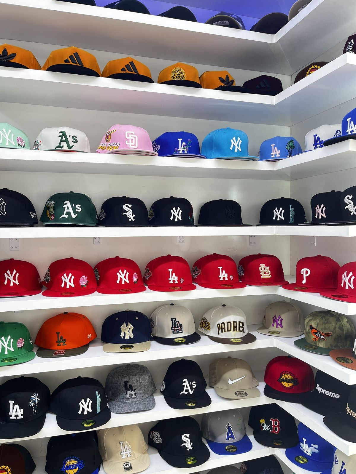 Bob et Casquette